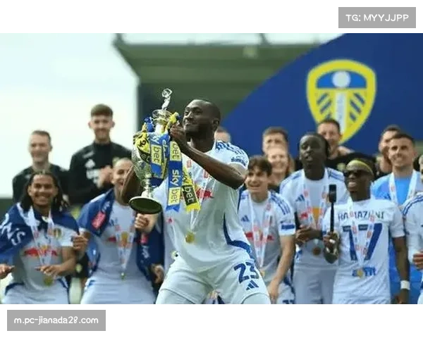 利兹联对阵桑德兰英超第29轮 升班马与老牌球队较量